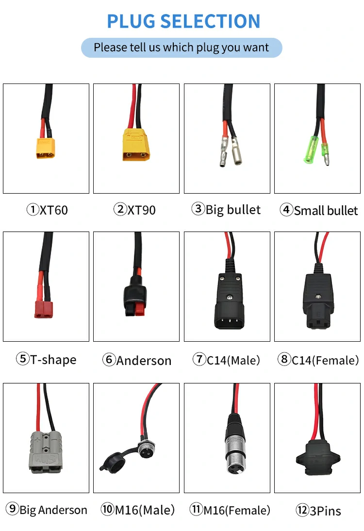 Customized Ebike Battery Pack